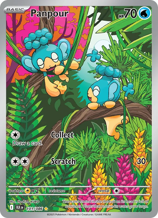 Panpour #101/86