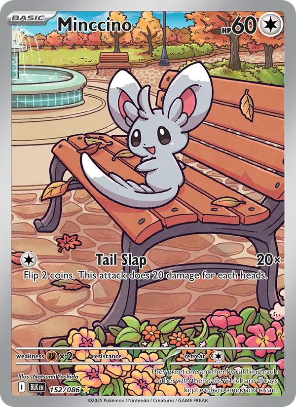 Minccino #152/86