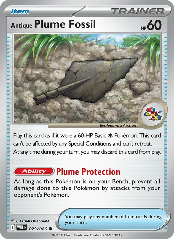 Antique Plume Fossil #79/86