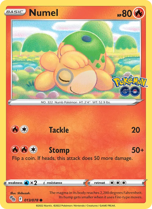 Numel #13/78