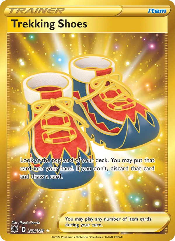 Trekking Shoes #215/189
