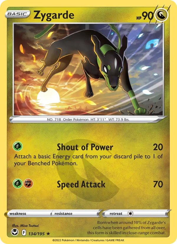 Zygarde #134/195