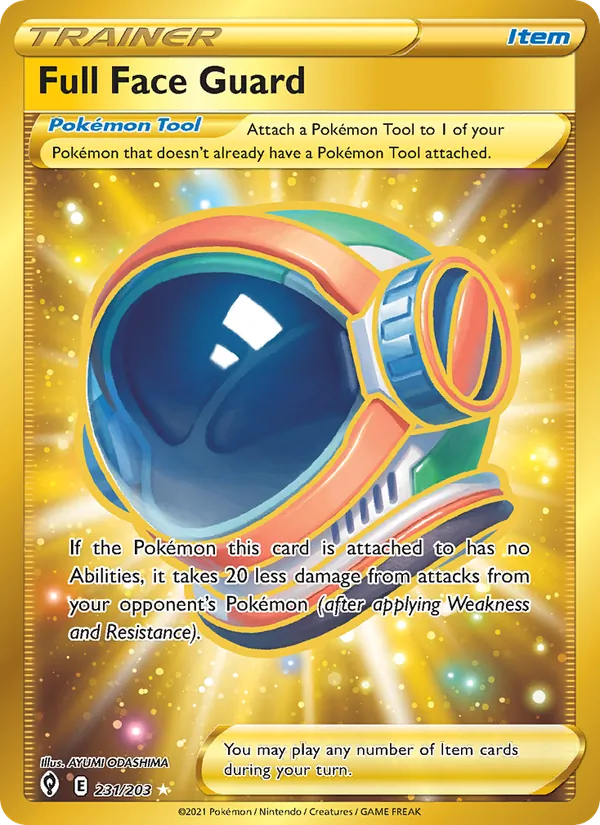 Full Face Guard #231/203