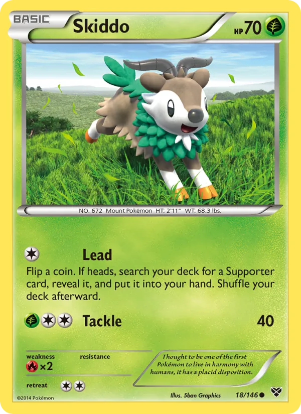 Skiddo #18/146