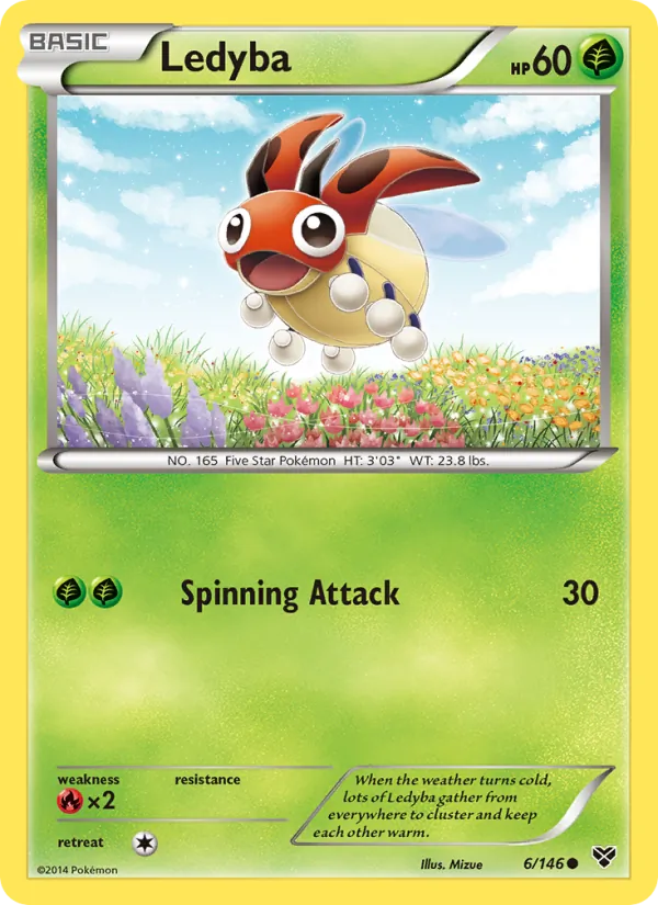 Ledyba #6/146