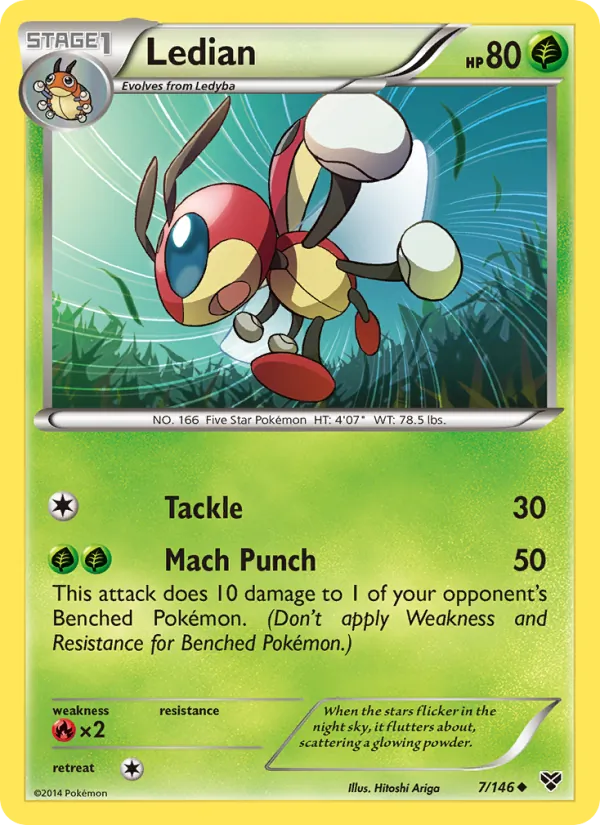 Ledian #7/146