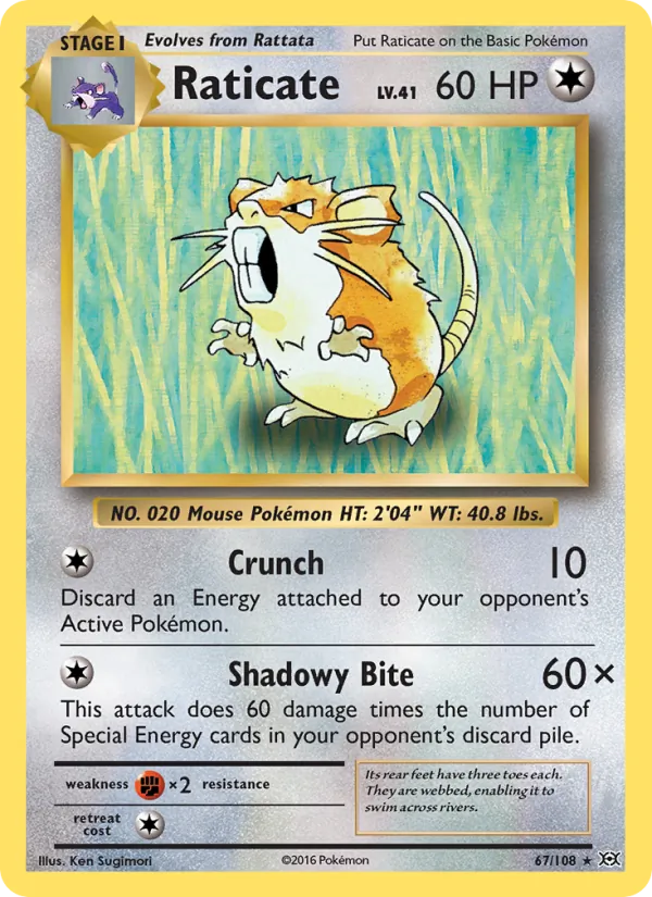 Raticate #67/108