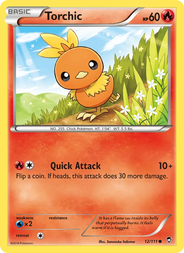 Torchic #12/111