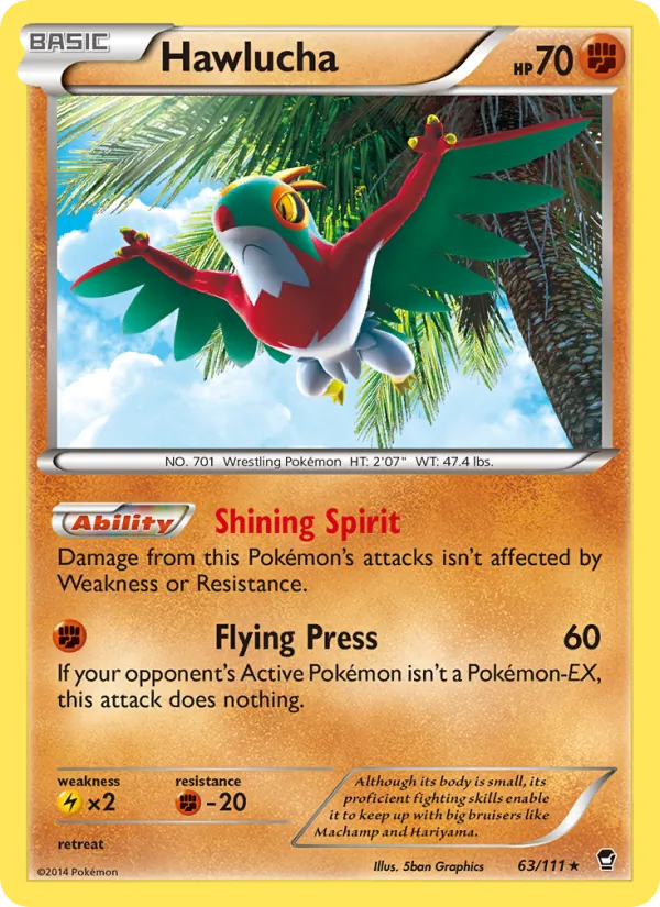 Hawlucha #63/111