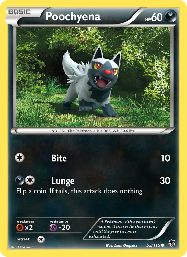 Poochyena #53/119
