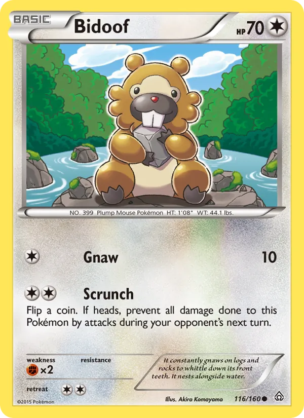Bidoof #116/160