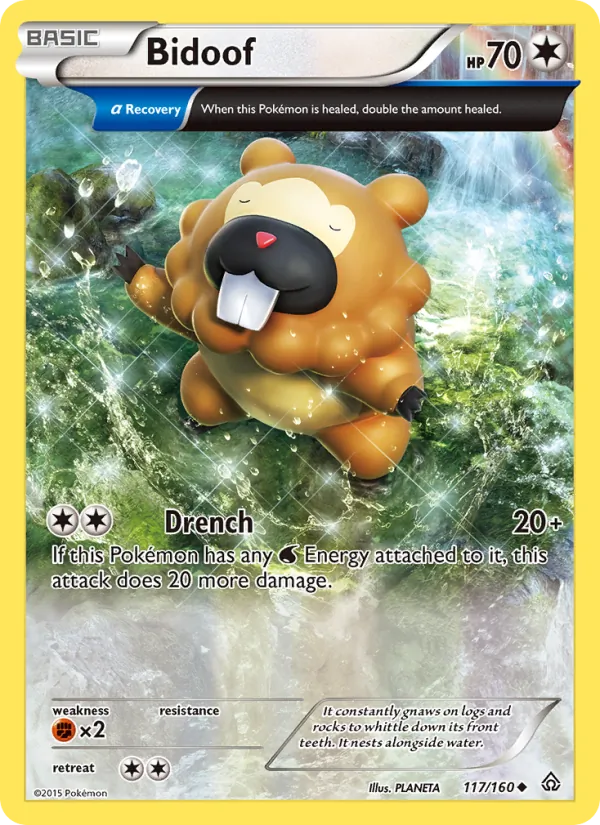 Bidoof #117/160