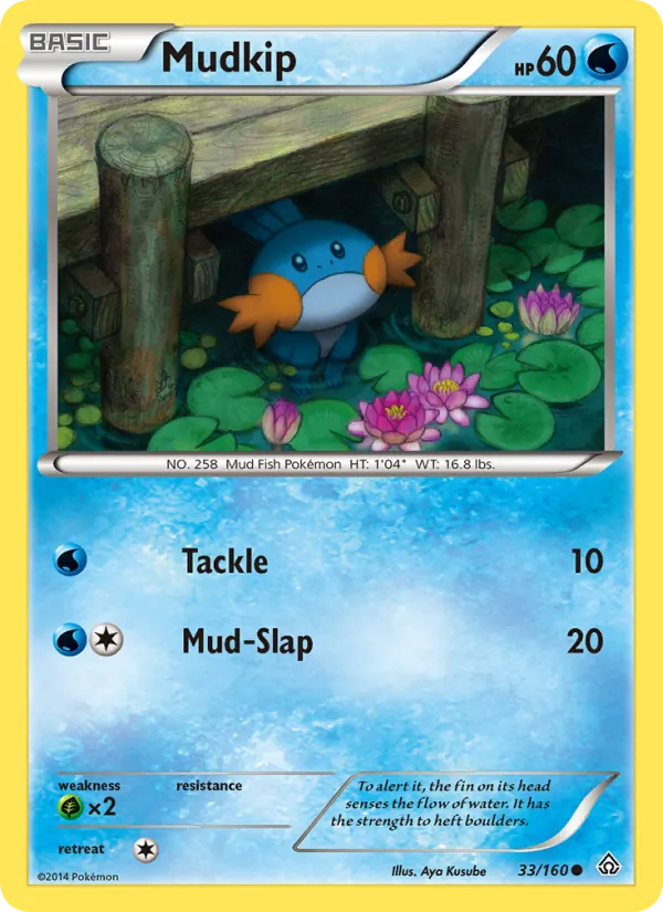 Mudkip #33/160