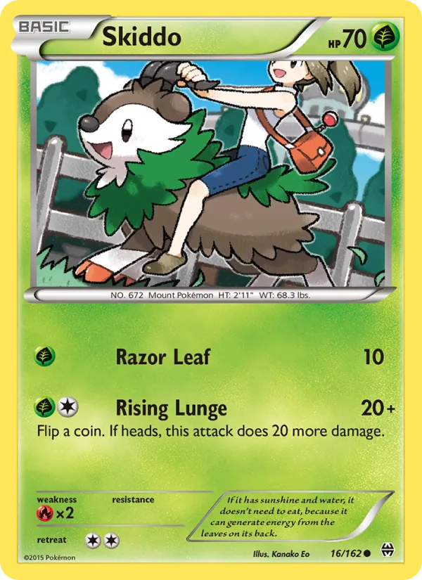 Skiddo #16/162