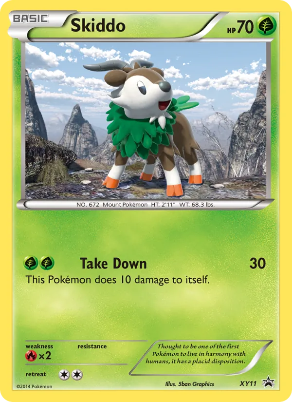 Skiddo #XY11/211