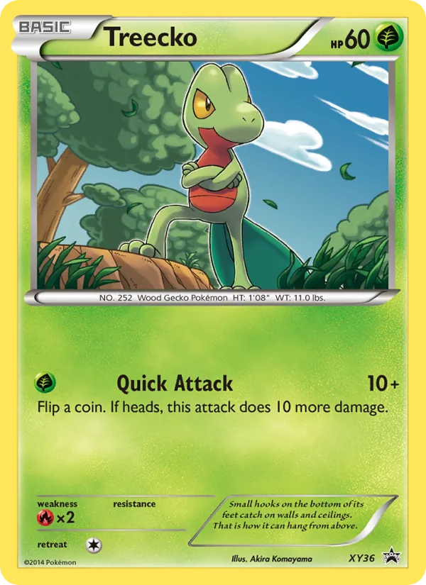 Treecko #XY36/211
