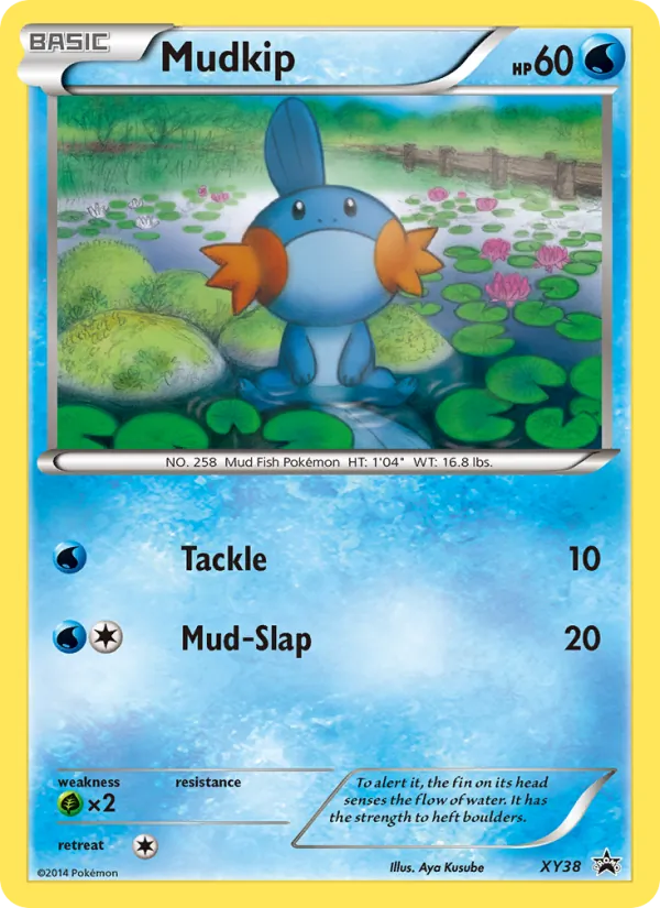 Mudkip #XY38/211