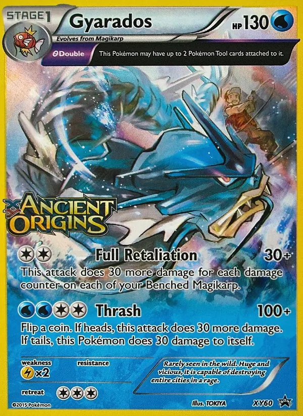 Gyarados #XY60/211